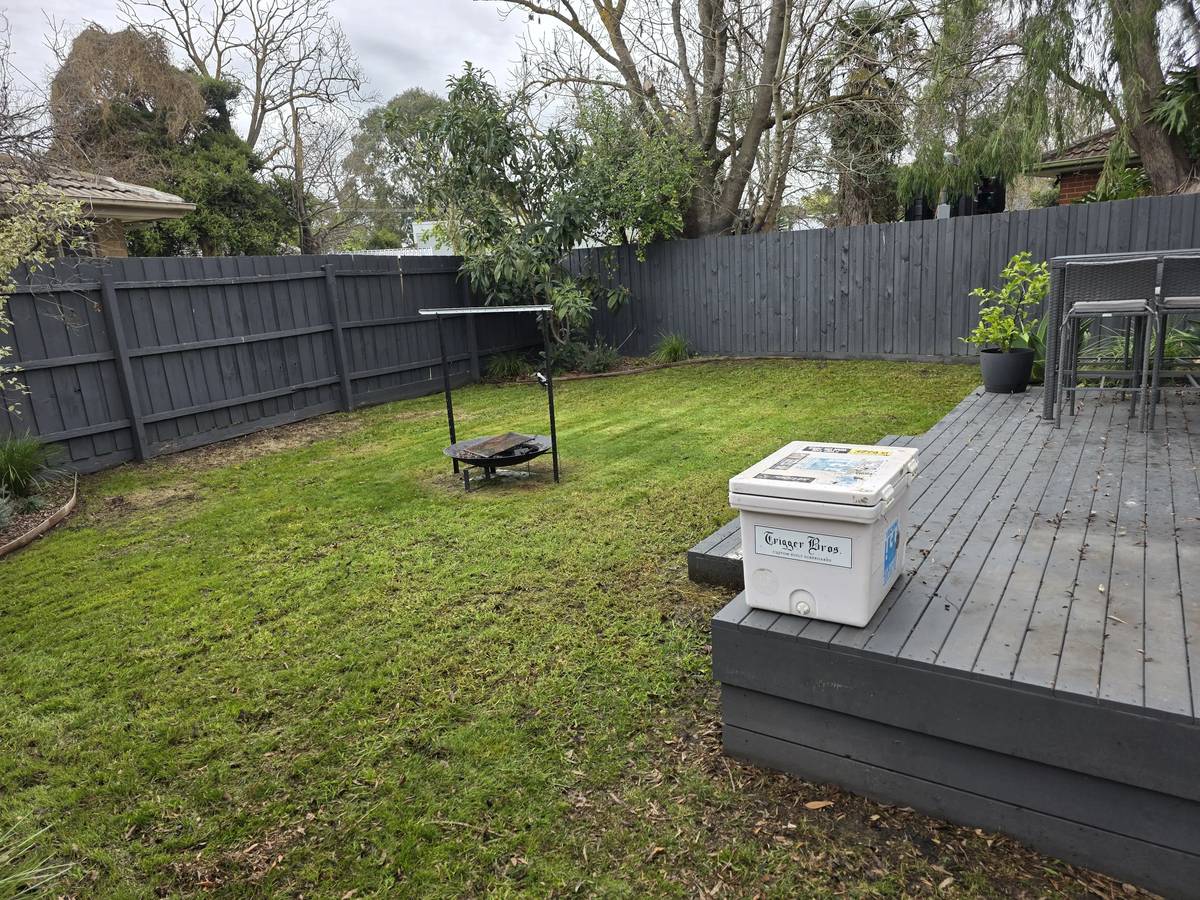 The same back lawn mown even and edged along the garden beds after the visit