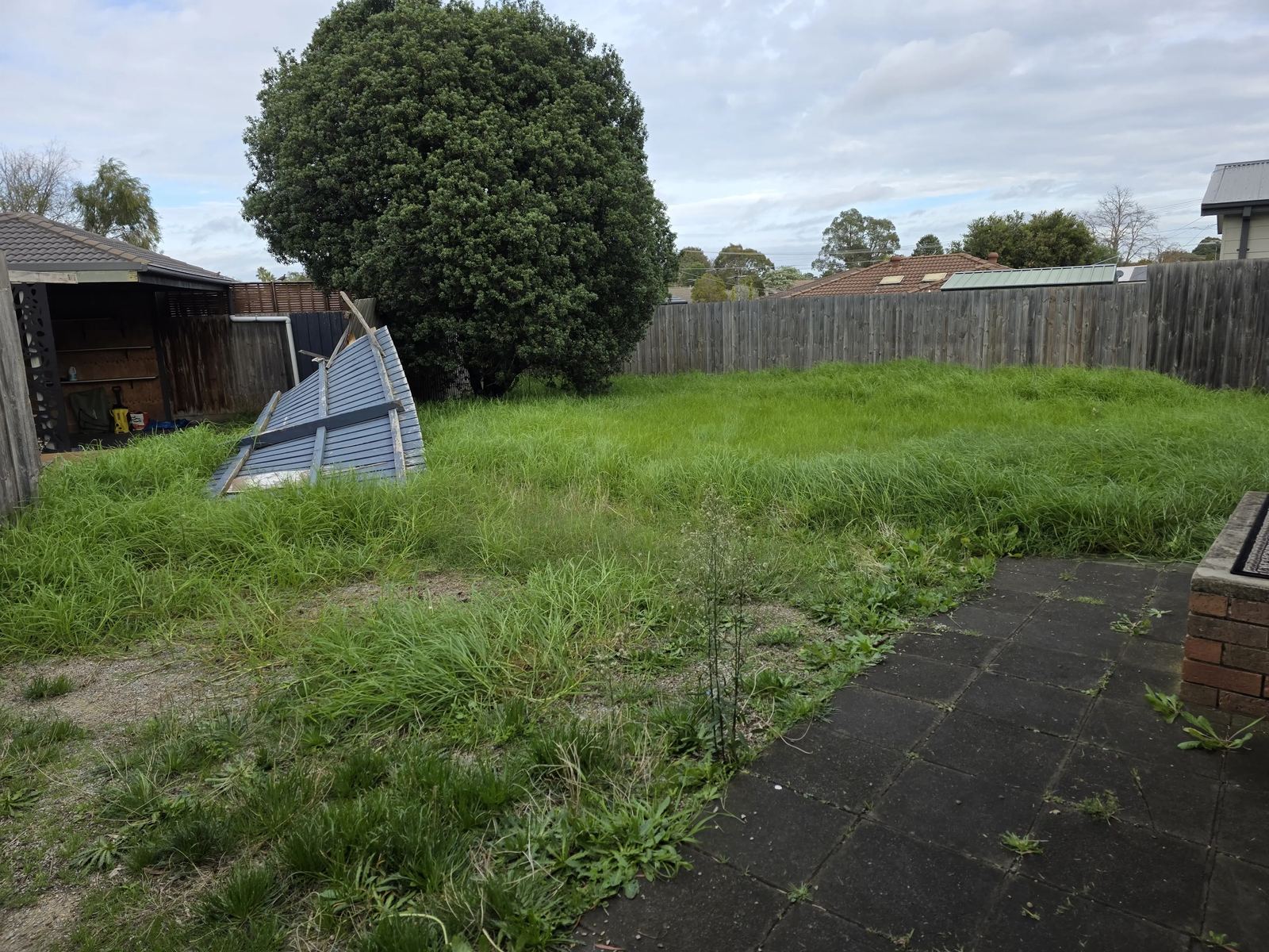 Overgrown Frankston backyard with knee-high grass and debris, before an end-of-lease garden clean up