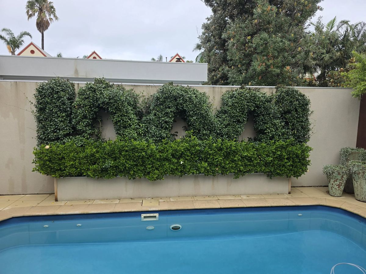 Shaped topiary hedging along a pool surround, cut square and level