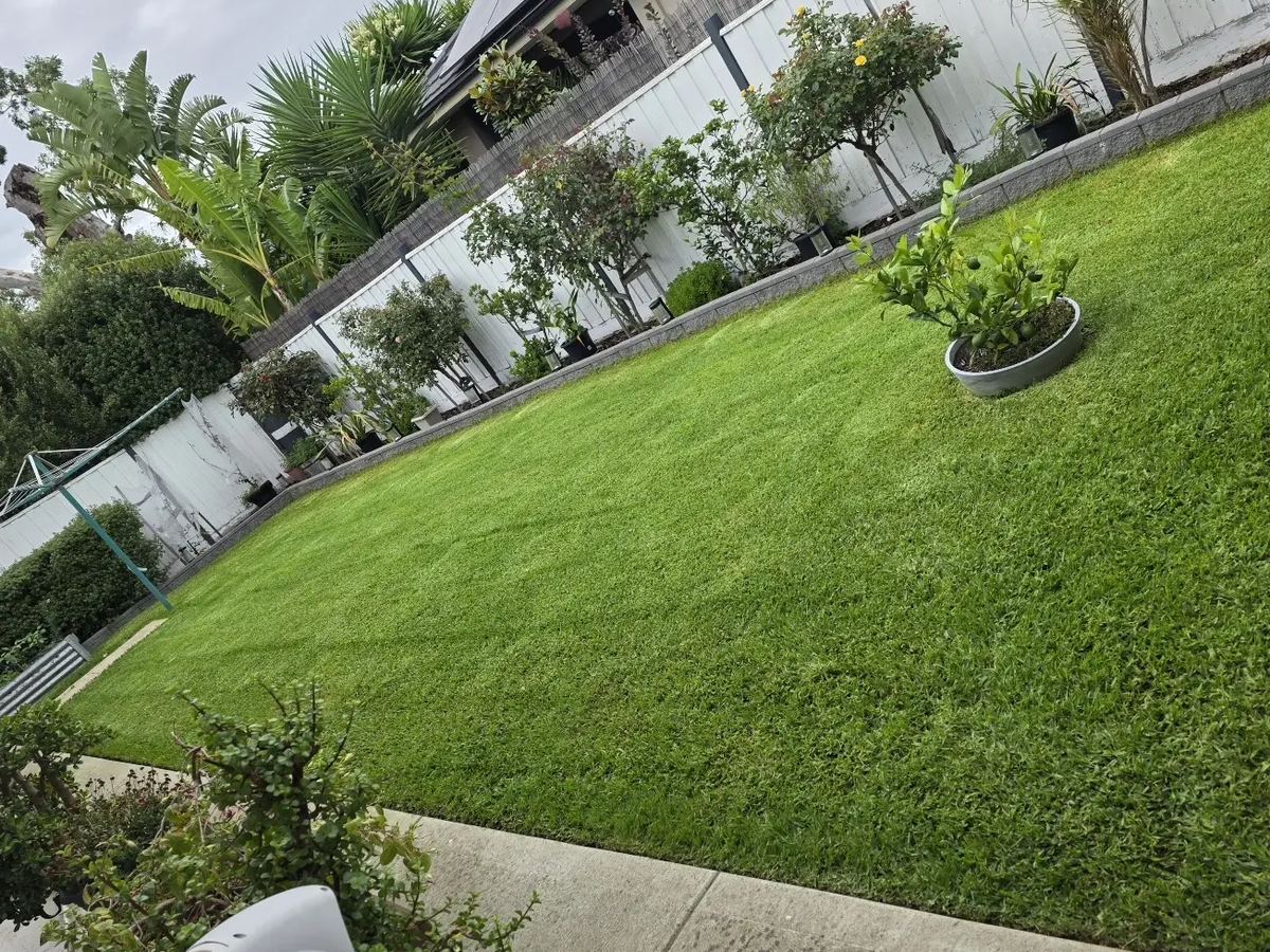 Sloping back lawn mown and edged with the garden beds cut clean around it
